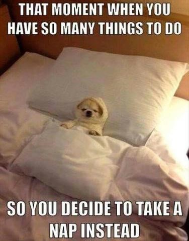 The Best Sleep Memes on the Internet Right Now - Good Morning ...